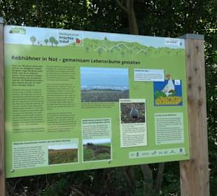 Wanderweg Sieben-Täler-Runde 