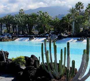 Pool - eingerahmt mit Lavasteinen und Pflanzen