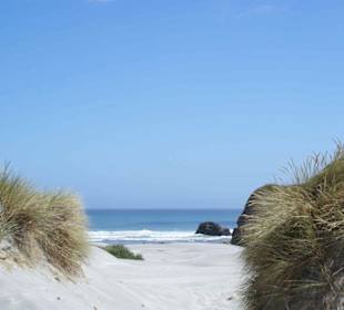 Sanddünen an der Wharariki Beach