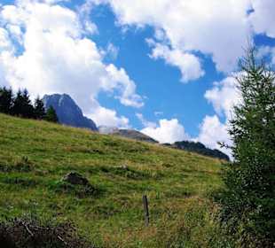 Wegverlauf Grünsee Gegend
