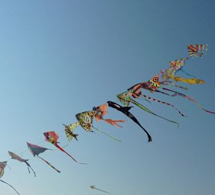 So viele bunte Flugdrachen