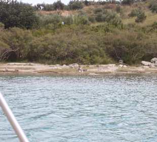 Ufer