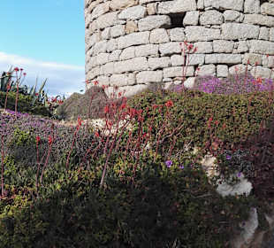 Inselrundfahrt Sardinien