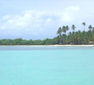 saona