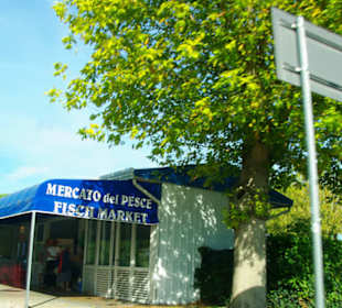 Der Fischmarkt am Hauptplatz