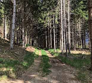 Wandern Hermagor - Pressegger See