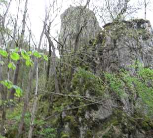 Eiszeitpfad - Burgfelsenpfad