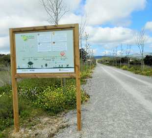 Hinweisschild am Weg