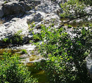 Impressionen von einer Wanderung an der Massane