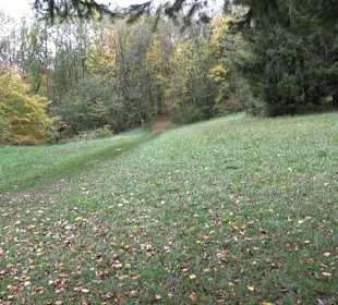 Wandern um die Rauber Ruine