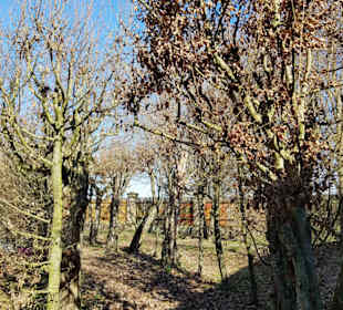 Der Rosengarten Rundweg