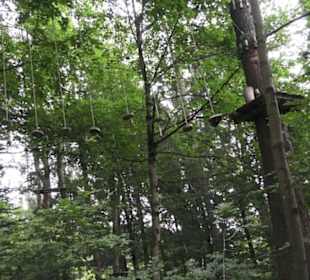 Natur-Hochseilgarten Triberg
