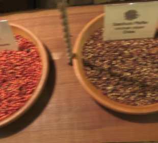 Spicy's Gewürzmuseum