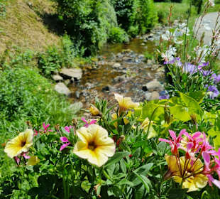 Wandern Bad Peterstal-Griesbach