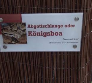 Südamerika Bereich - Jaguarhaus