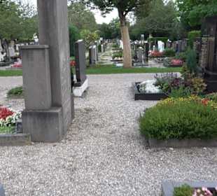 Friedhof St. Martin