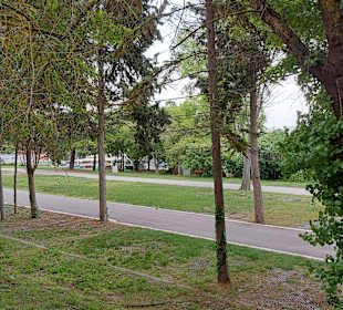 Albena 