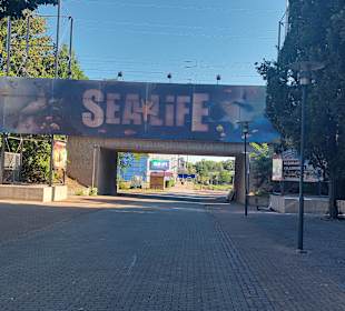 Sea Life Center Oberhausen