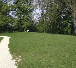 Burgruine Hohenstaufen