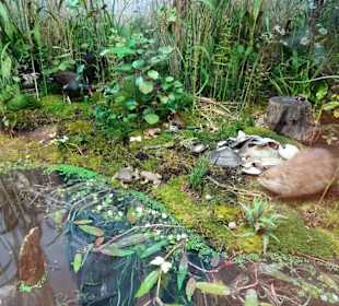 Diorama im Naturkundemuseum Coburg