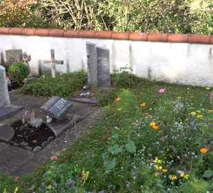 Friedhof Steingebronn