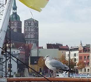 Hafen Stralsund