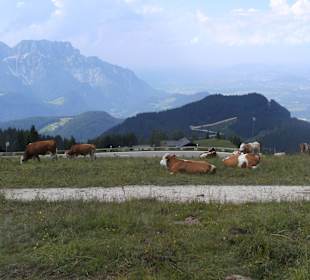Rossfeld Panorama Straße