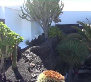 Fundacion Cesar Manrique