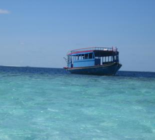 Auf zur Robinson Insel
