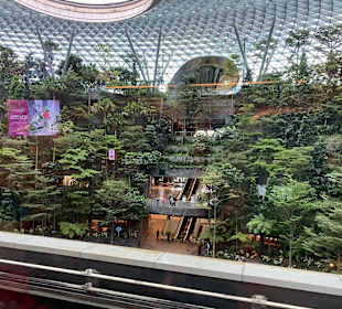 Flughafen Singapur Changi (SIN)