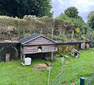 Kinderbauernhof Het Bukske