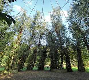 Das Weidenschloss im Park Speckenbüttel