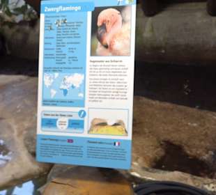 Zoologischer Stadtgarten