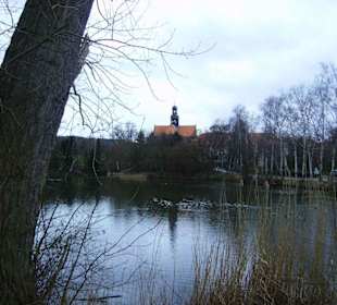 Das Kloster Marienrode mit dem Fischteich