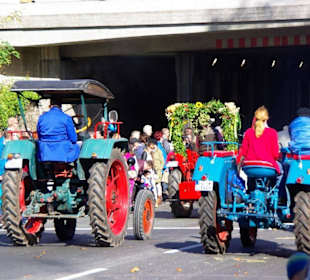 Bund Naturschutz Festwagen Biber