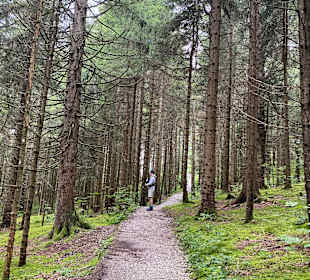 Wandern Rottach-Egern