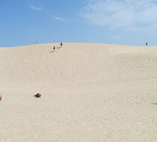 Dünenlandschaft bei Corralejo