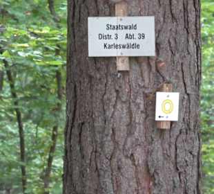 Altwege Rundwanderung Bebenhausen