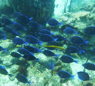 Gdzie tu się ukryć?