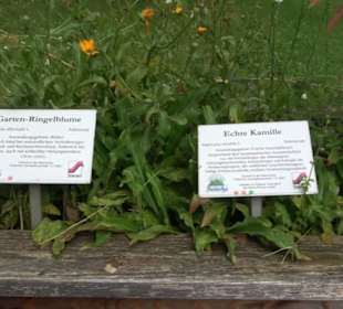 Andechser Kräutergarten