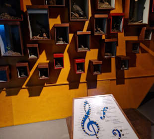 Geräusche der Natur