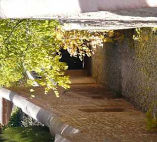 Dettaglio del giardino