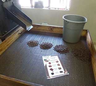 Auf die richtige Röstung kommt es an