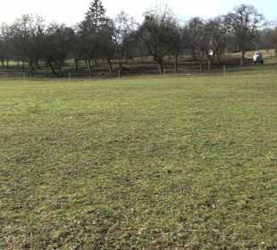 Grillplatz Tellerhecke