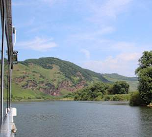 Mosel bei Rachtig