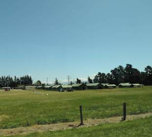 Wunderschöne Natur im Raum Blenheim