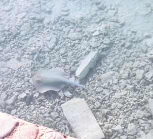 Hurghada Marina Boulevard