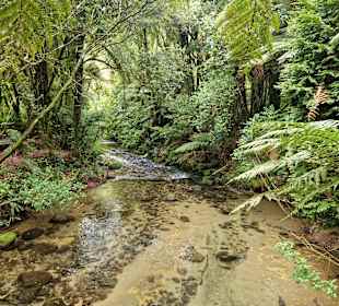 Paradise Valley Springs