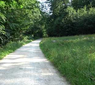 Waldlehrpfad St. Johann