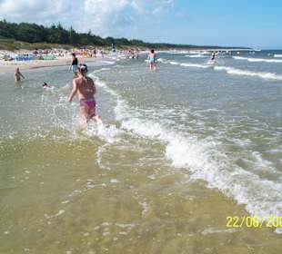 Plaża w Grzybowie 